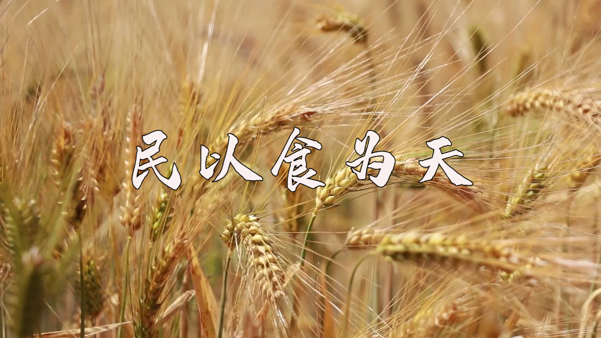 й˵ʮڣţֻΪż񡰴ͶʳƷ˷ѷ