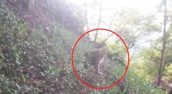 ҰֻǮӣ֧ȫѰֻӽǮ