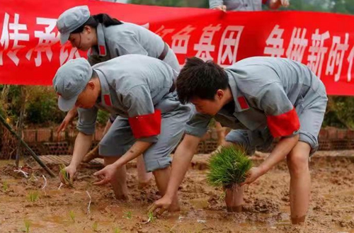 Զߡ۽ʵЧת  ѧʷټ