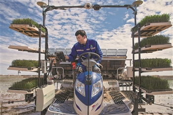 ���������������˼�ʻ����