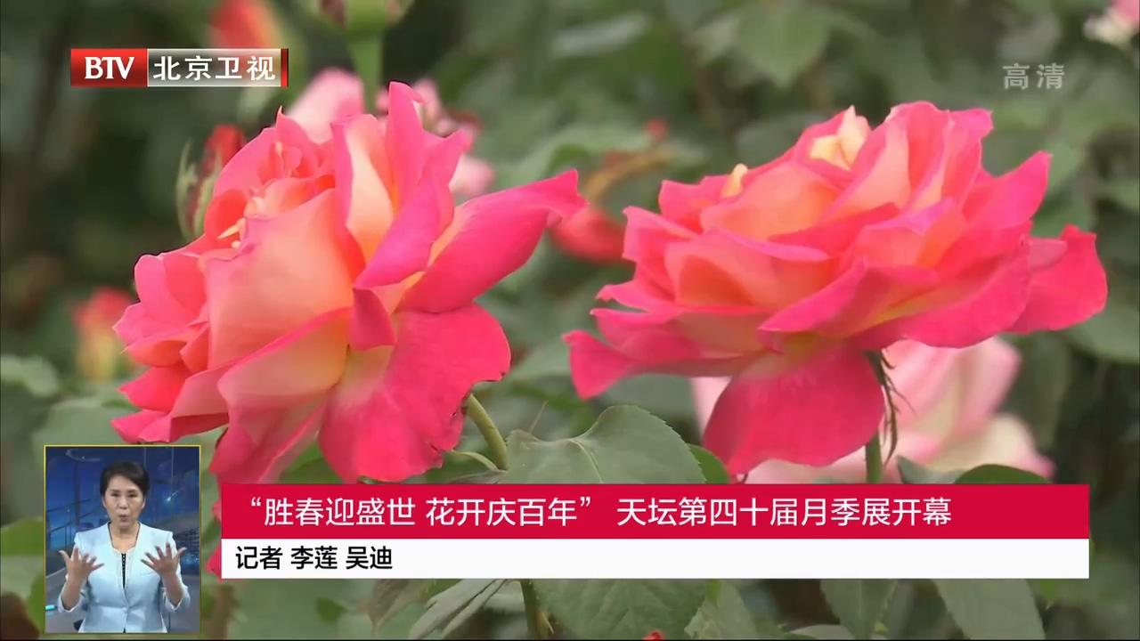 ʤӭʢ ꡱ̳ʮ¼չĻ