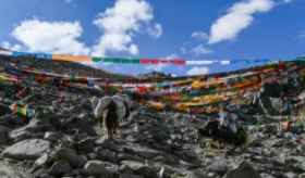 ����Ժ���Ű췢�������غ�ƽ����뷱�ٷ�չ����Ƥ��