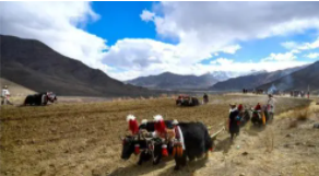 ��Ƥ�飺���ؼᶨά������ͳһ������ȶ�