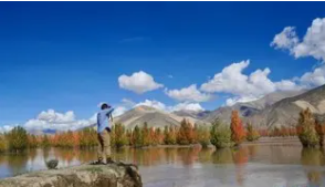 ��Ƥ�飺������̬��ȫ���������ʵ