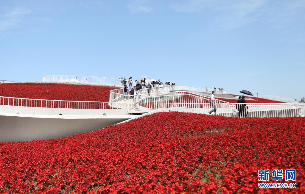 第十届中国花卉博览会在上海崇明开幕