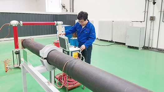 【爱在城市】“杨柳青青”爱企情