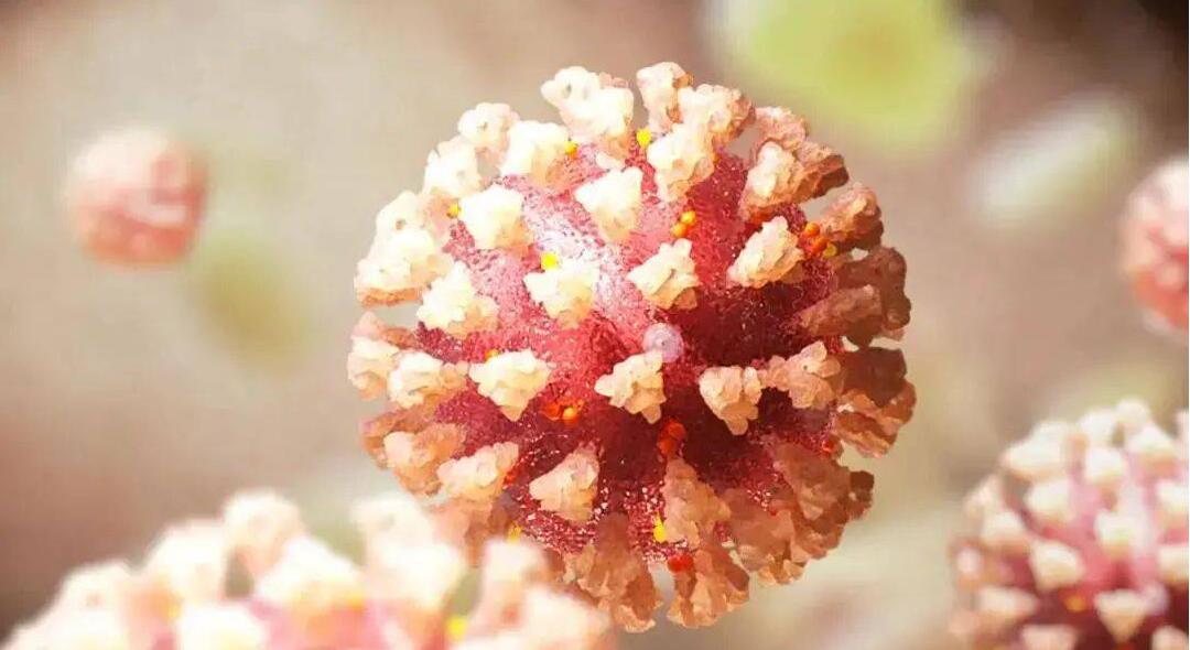 Ӣ֡ر족¹ڲ 󳼶ش