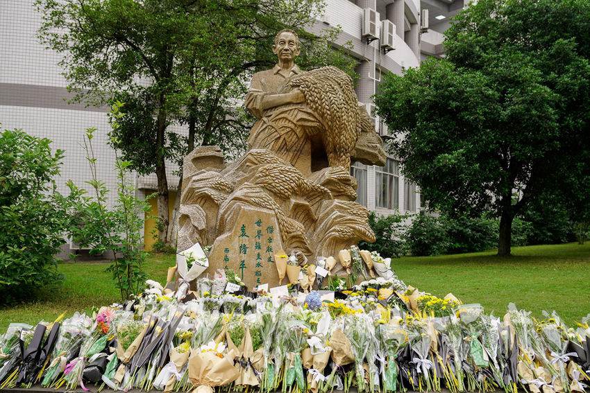 йҰԬ¡ƽĸУʦǰ׻İ˼