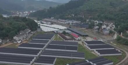 һںҵ̬Ϸḻ 巢չܳǿ