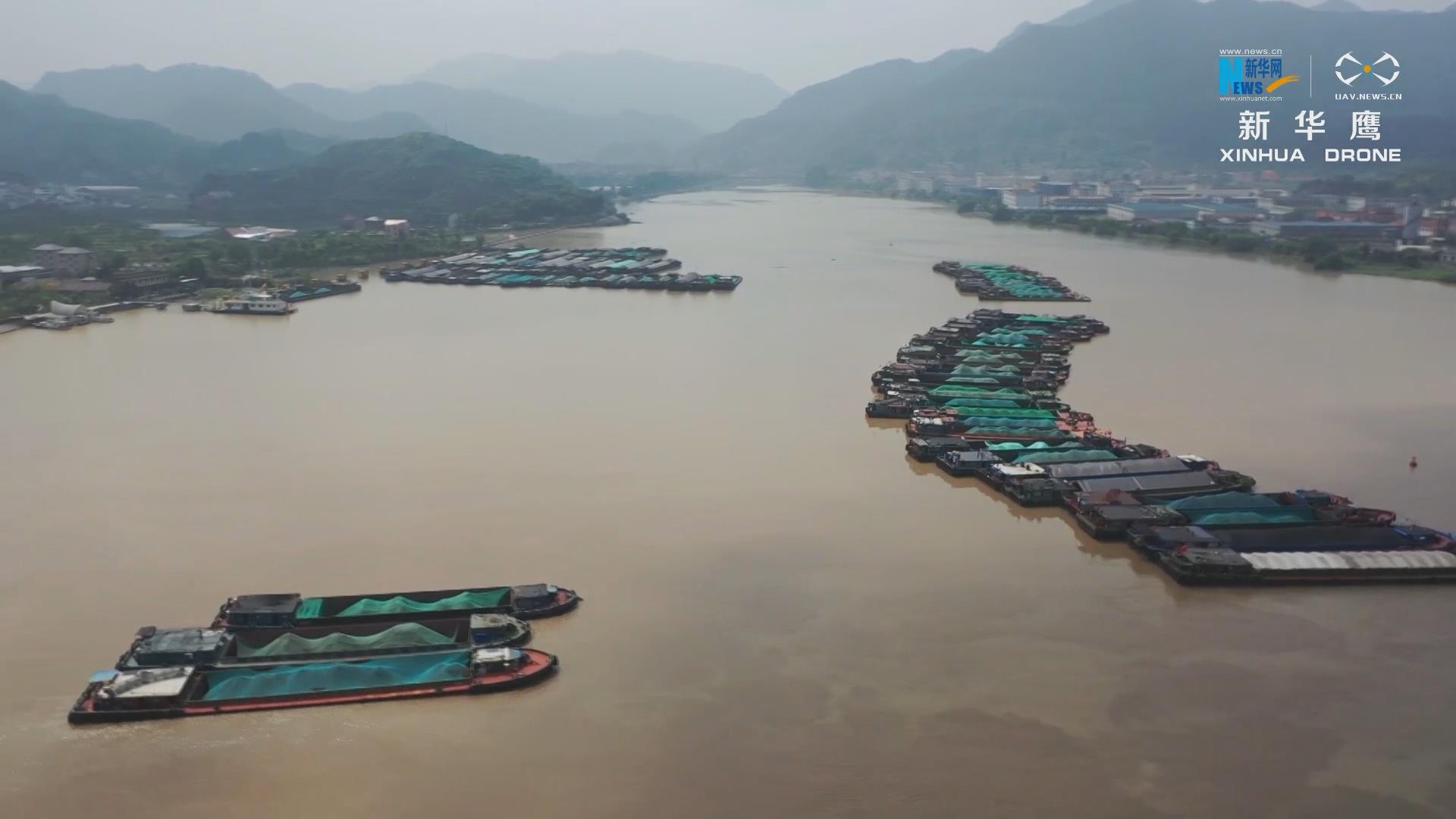 㽭½ѴӦ 113Ҵֻͣê