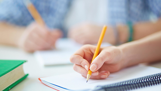 ڶ조ƶ˿á۽굳ʷѧϰ