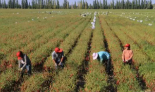 ܶ· ̡Ѳح½ţԸĸڹ͡Ϳѡ