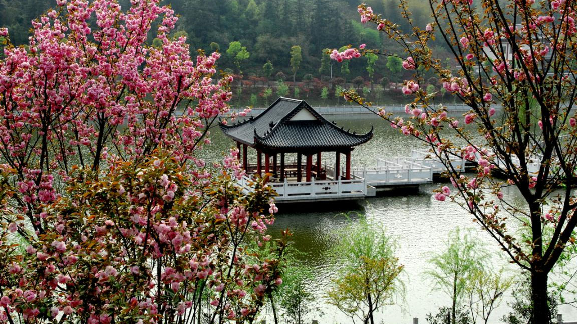 ������ý����������С��������԰����ɫ�����һ�š���ɫ��Ƭ��