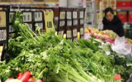 ܶ· ̡СحӡԱԺáɫԽܡСס±仯