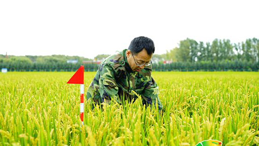 йΡƪ ũˮСػ߽Ϊйķ롰װ