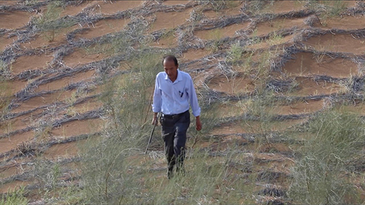 йΡƪ ũˮСɳĮߡϣɳΪ