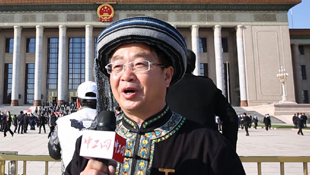 ������ģ˵��ȫ����ģΤ�������������� �������������ƶ�¸�