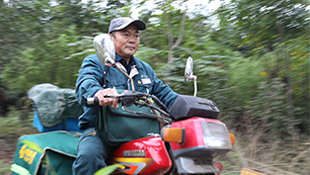 ������ģ˵��ȫ����ģ�ܹ��֣��������˵ġ��ʲ���ӡ�