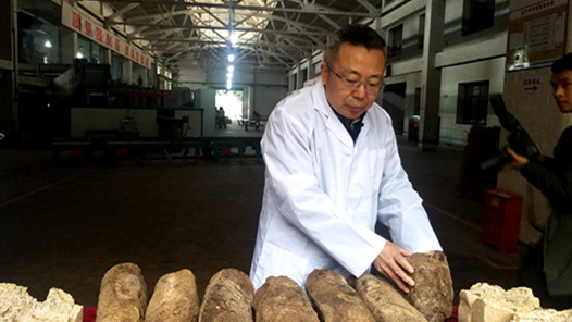 йΡƪ ĴСź飺һŽ ơá