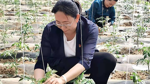 ��������ģ����ʷ������£��й����˽׼��ĵ�һ��������֯�����Ϻ��������ᣨ�����ʶ���