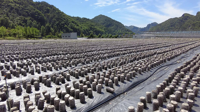 ������ý����������С�СĢ���ֳ�����ƶ��