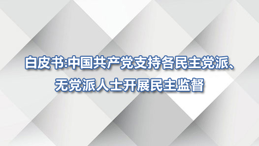 Ƥ飺йָ֧ɡ޵ʿչල