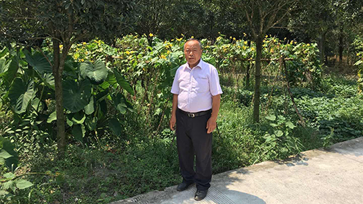 ����˫������ư��������