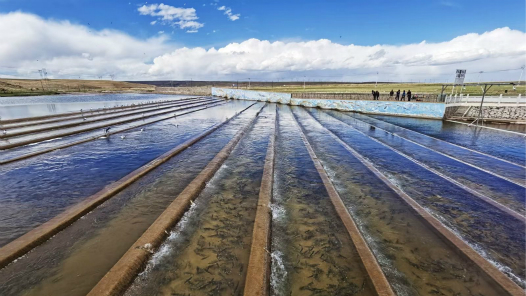 ܶ· ̡μǳʹȡ٣·ܶ㡪عƶɹνƽ