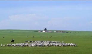 ܶ· ̡һѫ¡ߣԭ֮ӡ͢ضòԭ