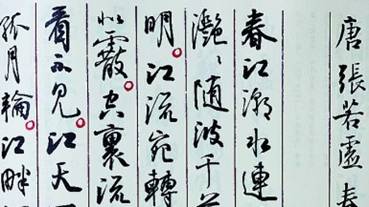 �����ī �����˺�