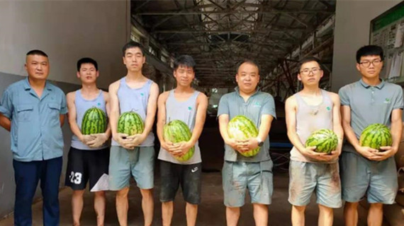 ����Ϊְ����ʵ�¡����������������� ������ˡ��ذ�����һ��ְ��