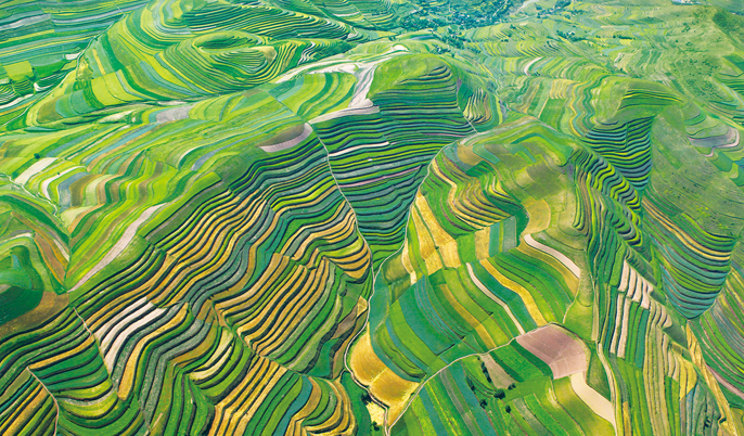 Ϊ ߣӼ͸ɣܶ· ̡μǳʹ ȡ٣