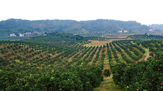 ǻۻҪܳٶȡܶ· ̡μǳʹ ȡ٣