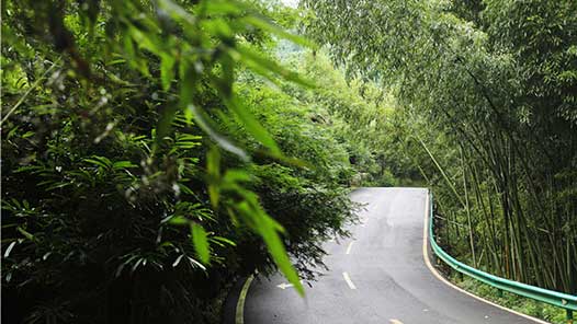 ̬Դ ָ£ܶ· ̡μǳʹ ȡ٣