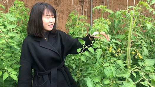 ��������ģ����ʷ��������������ս����ΰ��ʤ���������ʶ���