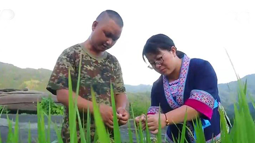 �������ഺ����կ����