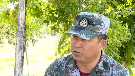 �ż�Ⱥ����������������