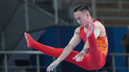 ������ۻ᡿�й�ѡ��Ф�������������ȫ������ժ��