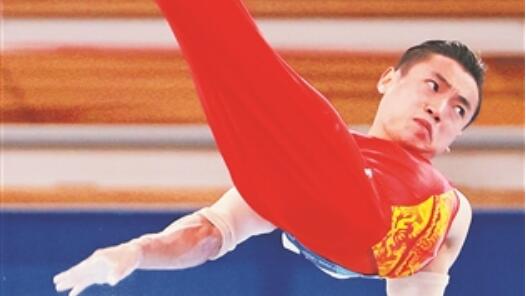 ������ۻ᡿���˫���չ� �й����ܽ��ư�