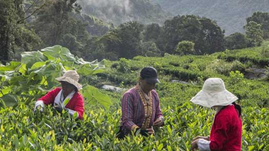 �����ء����¡�70��ޱ��������ɫ��չ��ֳ����γ�