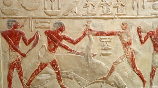 ������������ĹѰ������