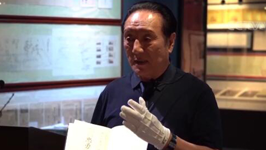 �ν�ͣ�ʸ־���崫�к�ɫ����