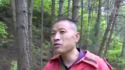 ����ƽ������ɽ�Ļ�����