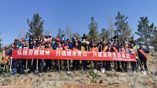 ���ͺ������ܹ�����֯��ģ��չ����ֲ������