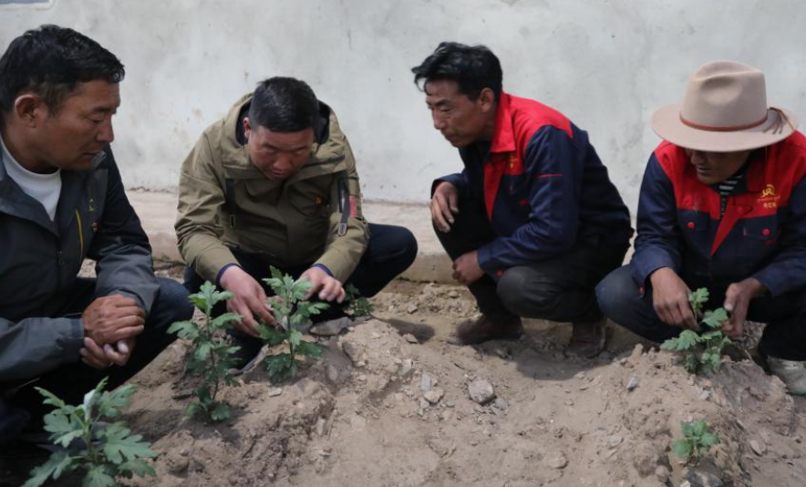 ܶ· ̡ȫһȡ¼حһ80ĸԭ