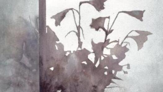 ���������ҽ�������Ķ��棬�����������ǻ���ġ���ɫ��