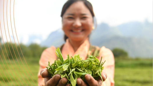 �������ع��̵���������Ž����