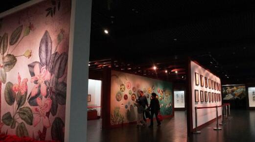 ֲ���ѧ������չ���ܹ�ע