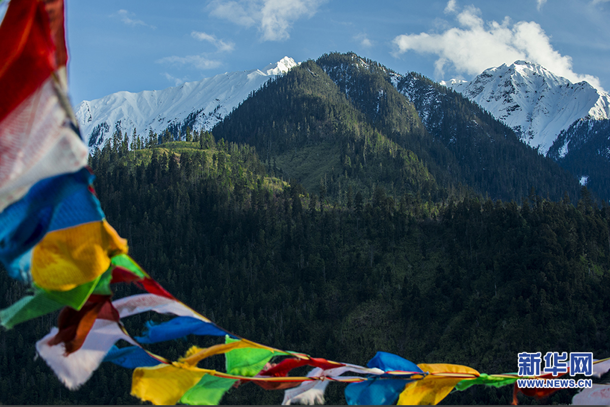 ѩ�򻶸�70�ء�����������ʱ������̬���� ��ԭ����