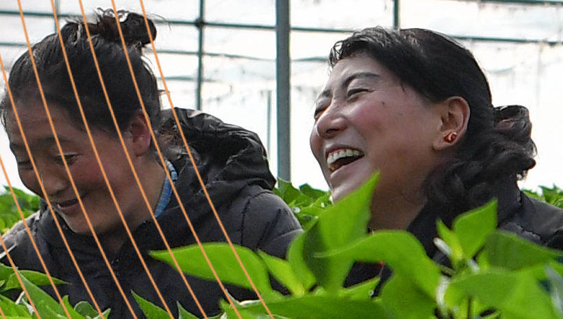 ѩ�򻶸�70�ء�����������ʱ��ح���ﻥѧ Я�ֲ���--���ذ��յ������Ž���